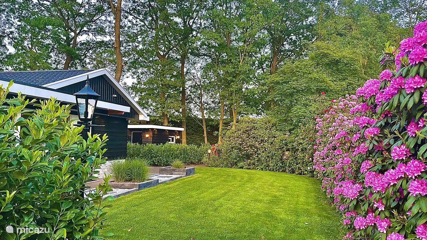 Luxury Garden Lodge con Aire Acondicionado + Sauna en Países Bajos, Overijssel, Denekamp - bungaló