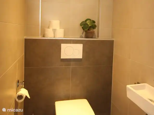 Luxury Garden Lodge Avec Climatisation + Sauna | Pays-Bas, Overijssel, Denekamp - bungalow WC séparé avec lavabo.