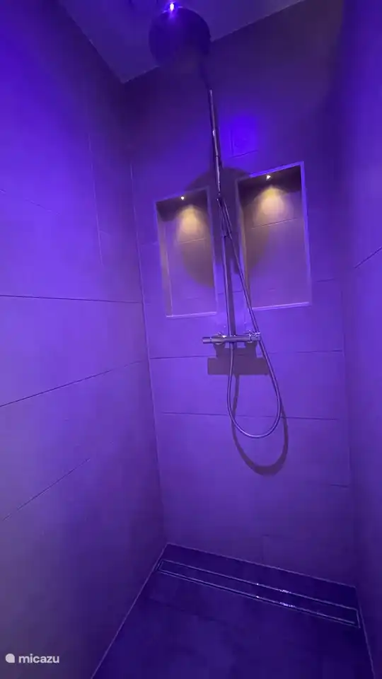 Amplia cabina de ducha con lluvia y rociador de mano.