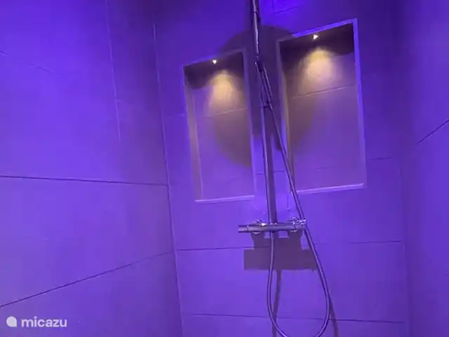 Luxury Garden Lodge Avec Climatisation + Sauna | Pays-Bas, Overijssel, Denekamp - bungalow Douche à l'italienne spacieuse avec pomme de douche à effet pluie et à main.