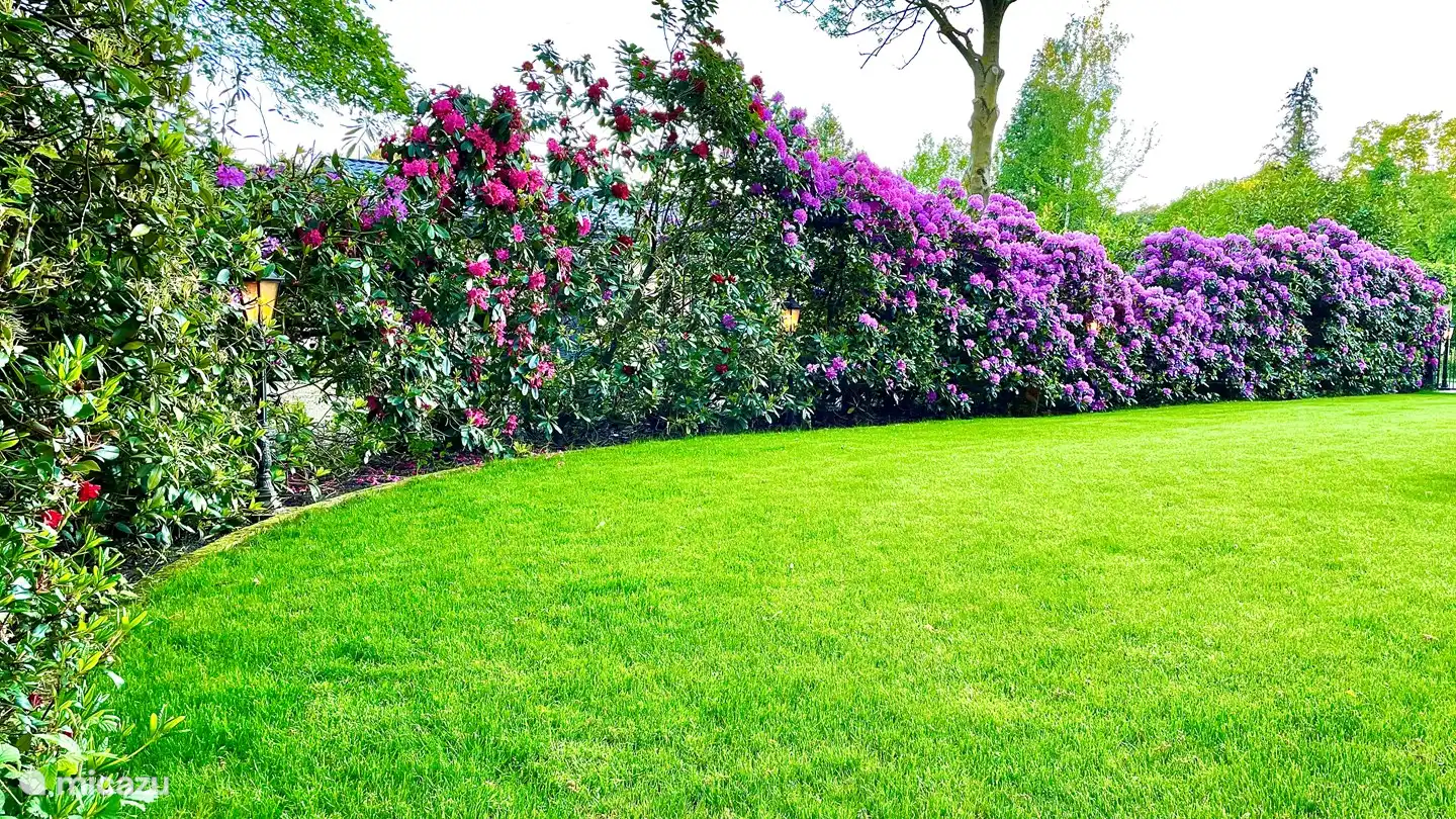 Jardín maravillosamente fragante!