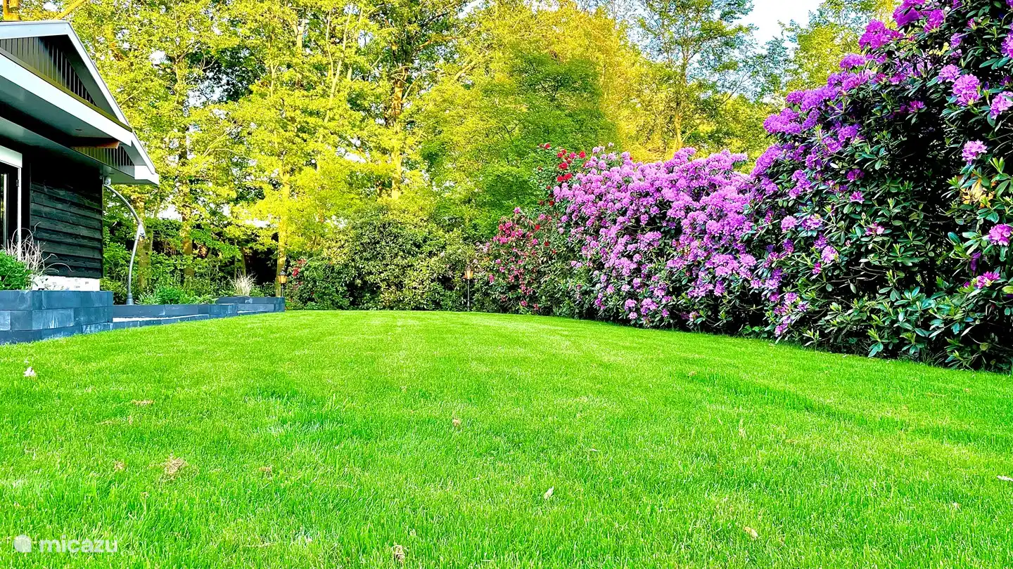 ¡En medio de la naturaleza!