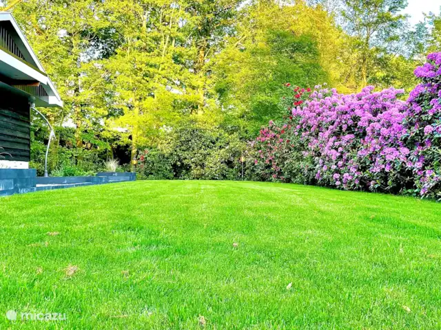 Luxury Garden Lodge Avec Climatisation + Sauna | Pays-Bas, Overijssel, Denekamp - bungalow En pleine nature !