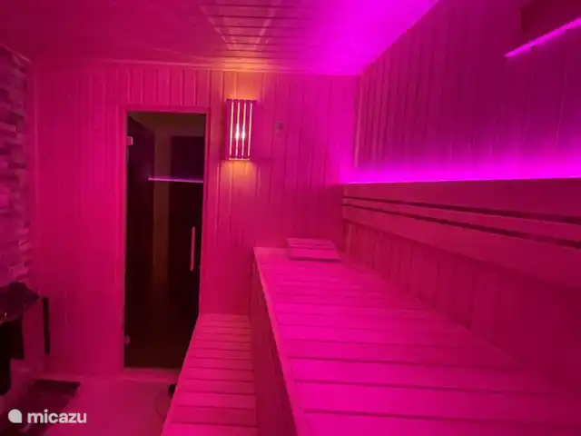 Luxury Garden Lodge Avec Climatisation + Sauna | Pays-Bas, Overijssel, Denekamp - bungalow Vous pouvez choisir parmi plusieurs couleurs d'éclairage pour la bonne ambiance dans le sauna.