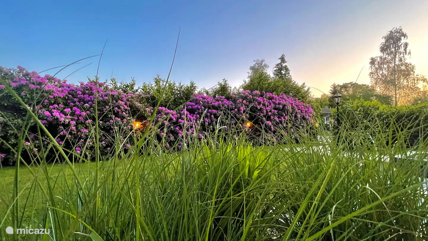 ¡Verde por todos lados!