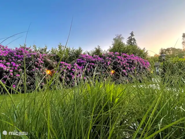 Luxury Garden Lodge Avec Climatisation + Sauna | Pays-Bas, Overijssel, Denekamp - bungalow Du vert partout !