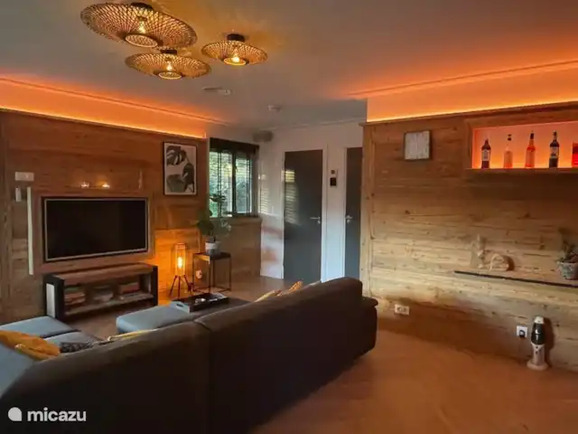 Luxury Garden Lodge Avec Climatisation + Sauna | Pays-Bas, Overijssel, Denekamp - bungalow Le salon est particulièrement attrayant en raison de l'utilisation de vieux bois.