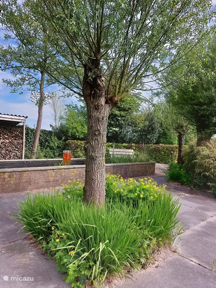 In de vijver is altijd wat te zien!