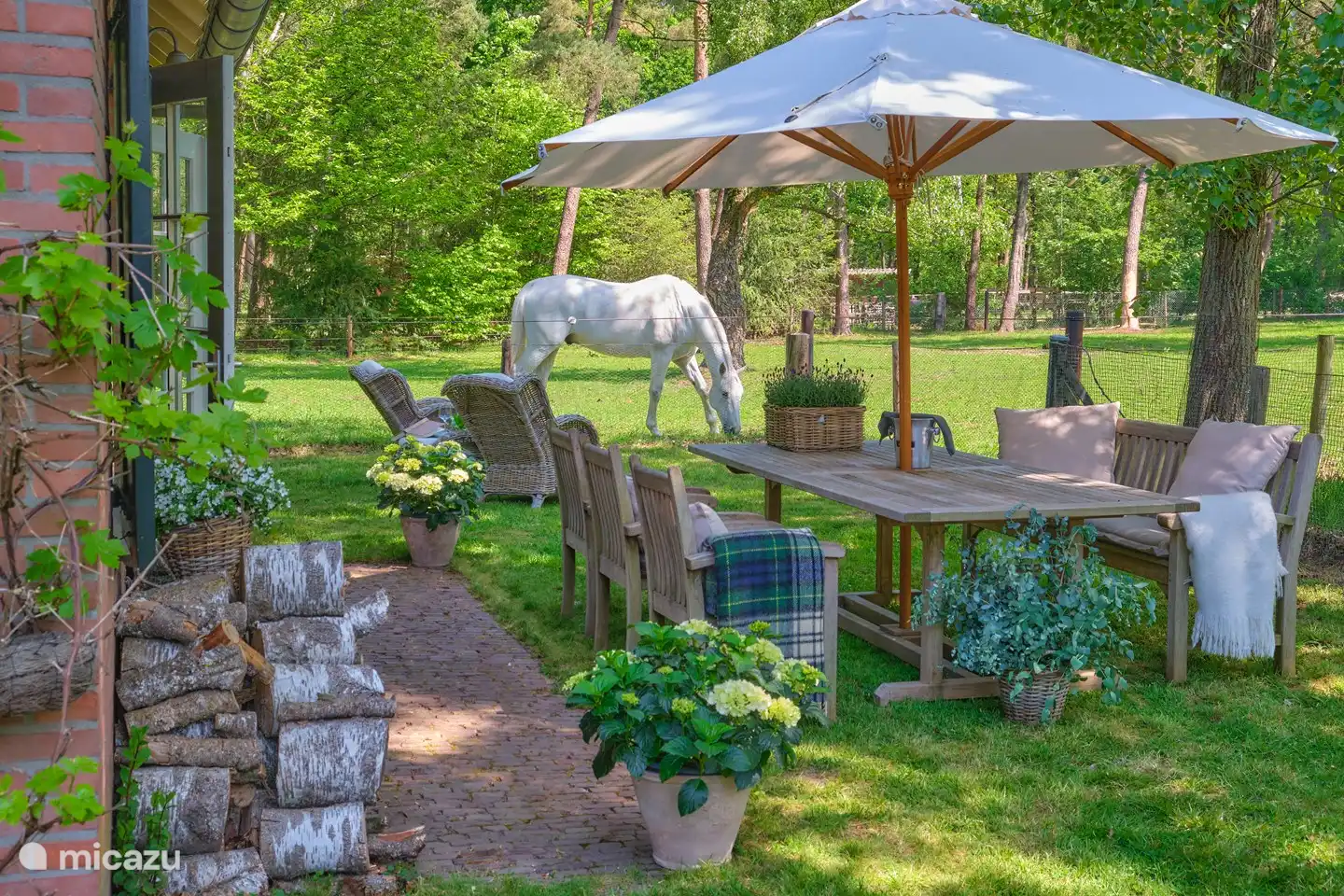 Trotz der Ruhe ein lebendiger Eindruck