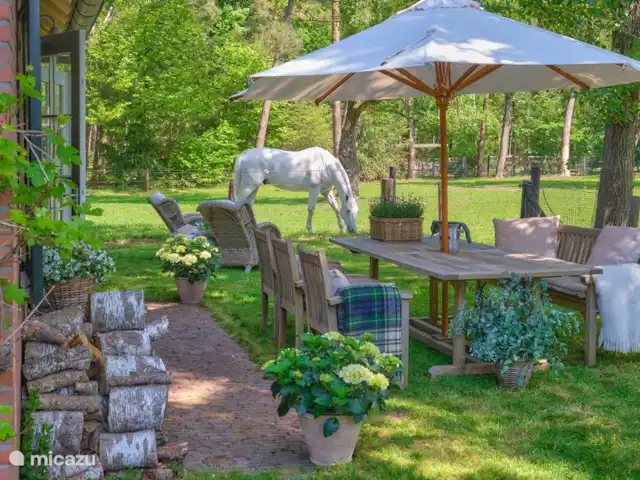 Darthuizer Lodge en Países Bajos, Utrecht, Leersum - casa vacacional A pesar de la paz y la tranquilidad, una impresión animada