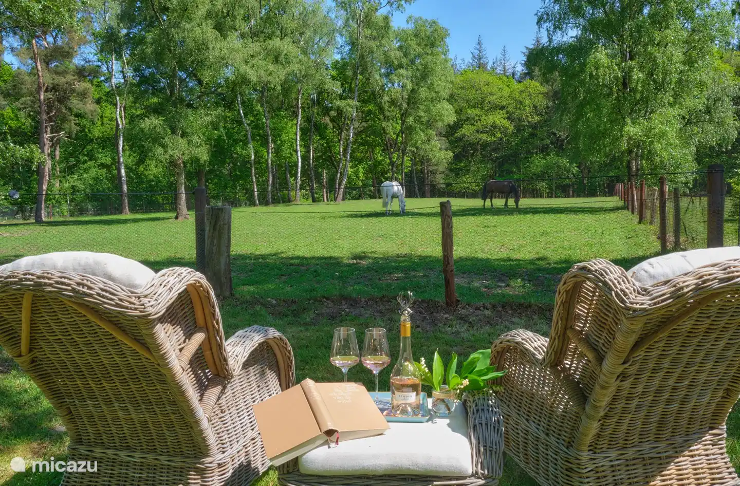 In Ruhe ein schönes Buch lesen