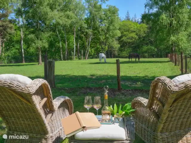 Darthuizer Lodge en Países Bajos, Utrecht, Leersum - casa vacacional Leer un buen libro en paz