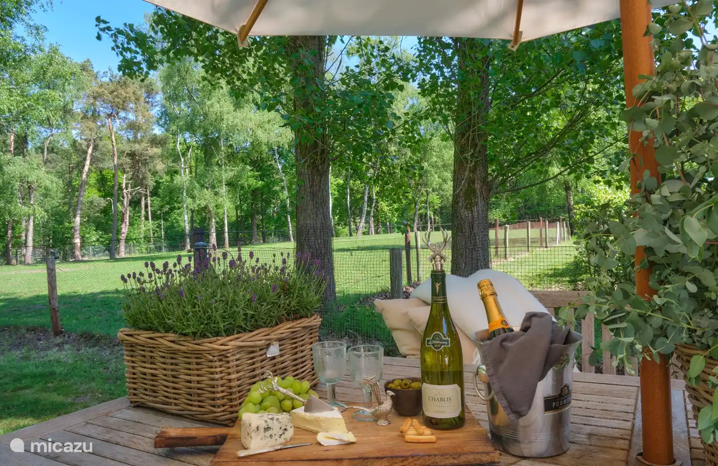 Entspannung vom Feinsten