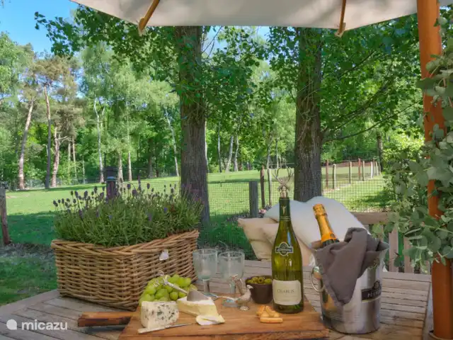 Darthuizer Lodge en Países Bajos, Utrecht, Leersum - casa vacacional Relajación en su máxima expresión