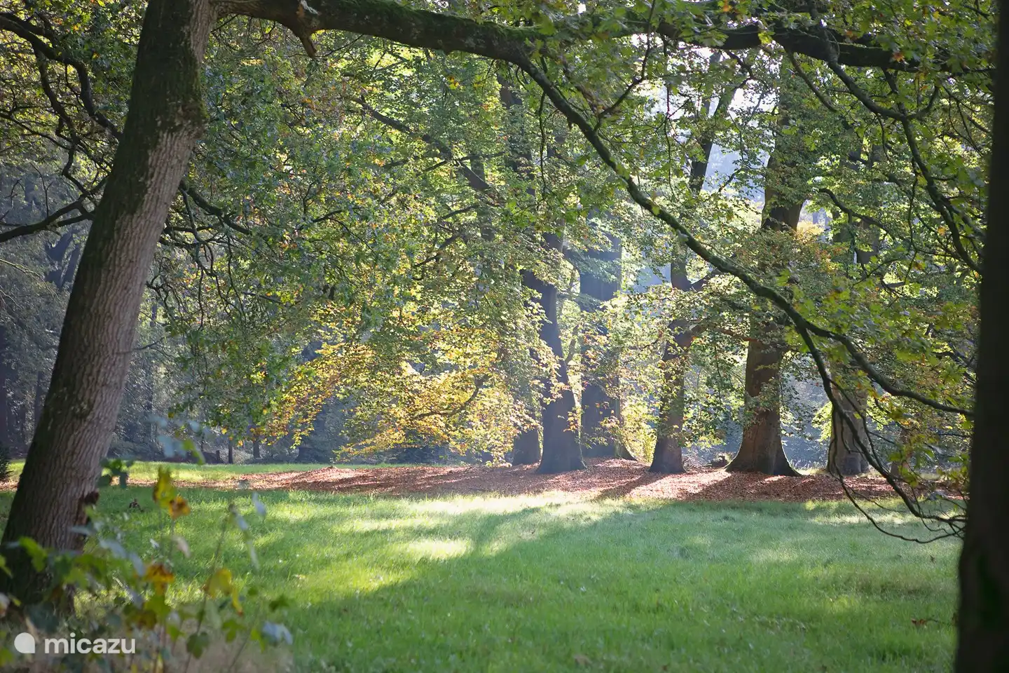 Die wunderschöne Natur
