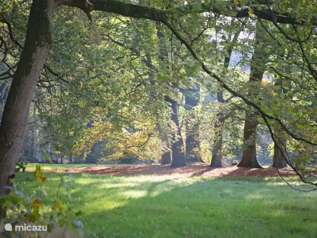 Darthuizer Lodge en Países Bajos, Utrecht, Leersum - casa vacacional La hermosa naturaleza