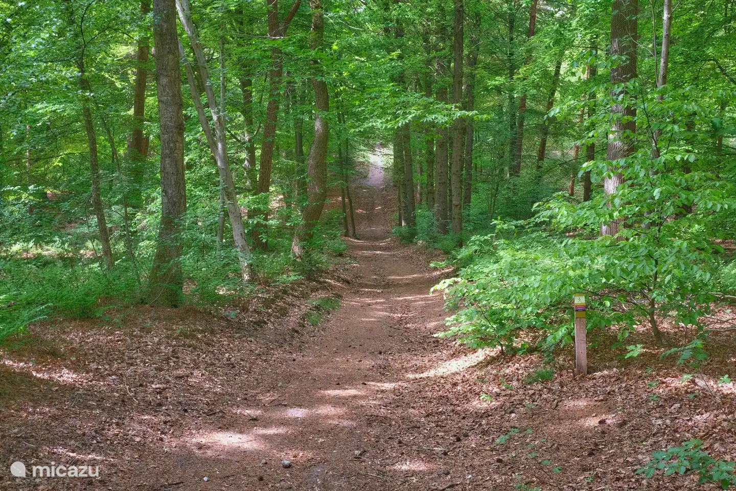 Die unmittelbare Umgebung der Lodge ist hügelig mit schönen Wanderwegen