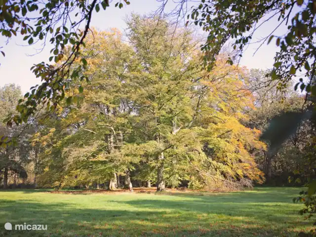 Darthuizer Lodge en Países Bajos, Utrecht, Leersum - casa vacacional Los Bosques del Cabo