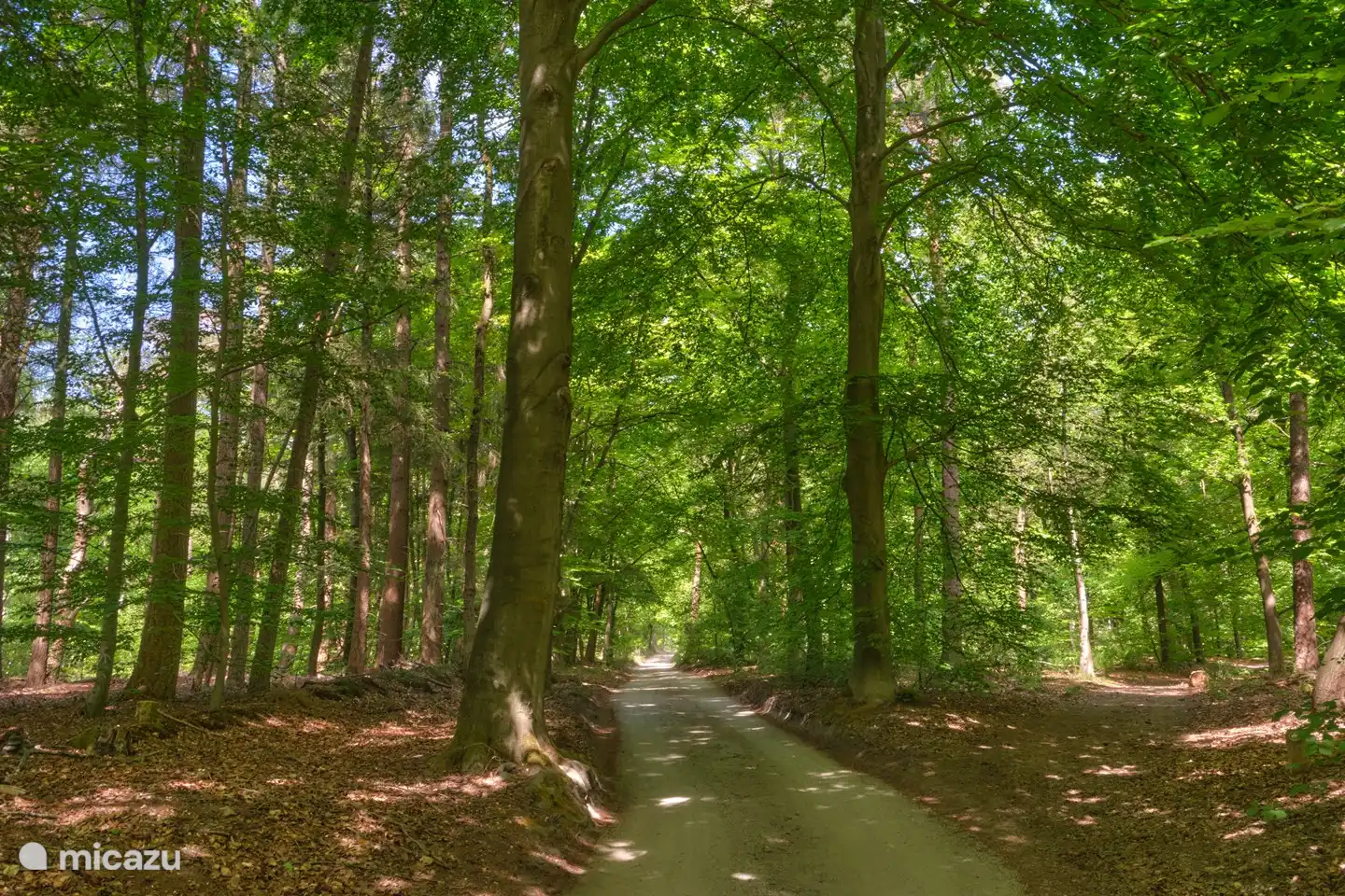 Der Eingang zum Darthuizerberg