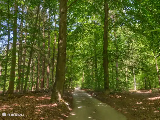 Darthuizer Lodge en Países Bajos, Utrecht, Leersum - casa vacacional La entrada al Darthuizerberg