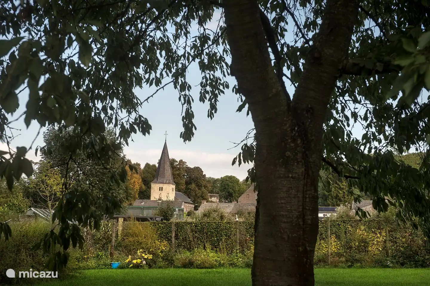 view of the church around the garden
