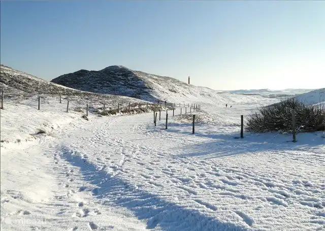 Die schönen Winterdünen von Julianadorp aan Zee.