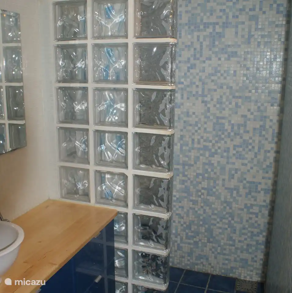 Begehbare Dusche und schöne Glaswand.