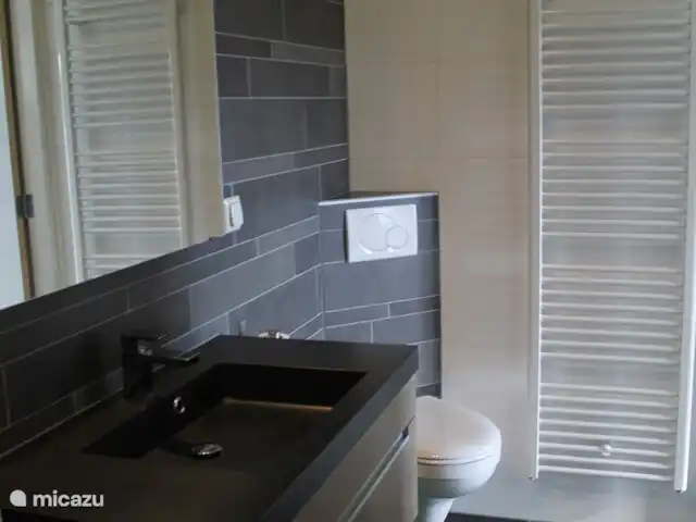 bungalow huren in Nederland, Noord-Holland, Julianadorp aan Zee – Bungalow Duinzicht een ruime badkamer met toilet.