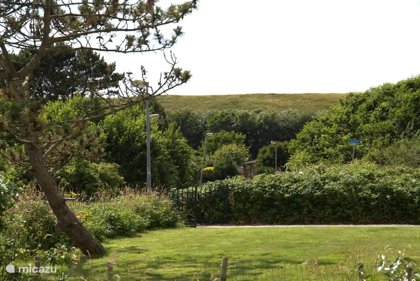 Schöne Aussicht auf die Dünen.