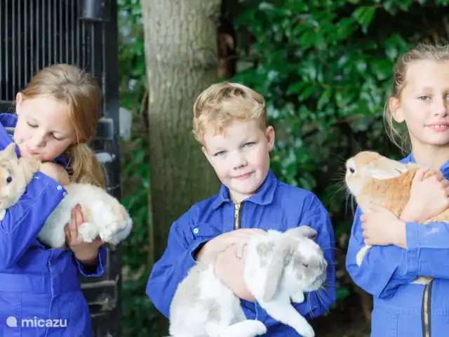 Boerderij appartement Landrijk huren in Nederland, Overijssel, Haaksbergen - boerderij Konijntjes knuffelen