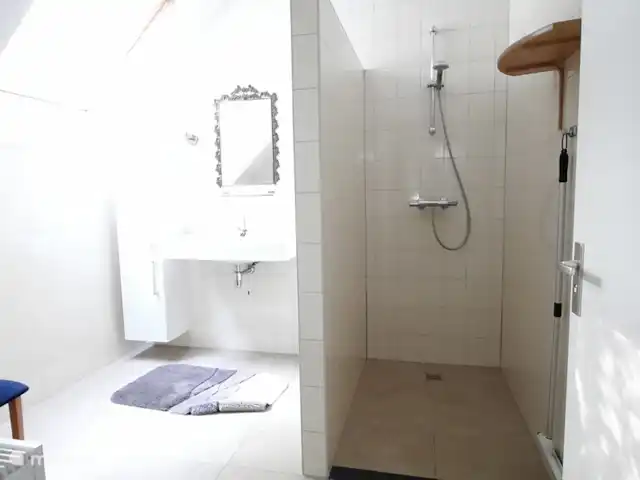 Boerderij appartement Landrijk huren in Nederland, Overijssel, Haaksbergen - boerderij Badkamer, toilet apart