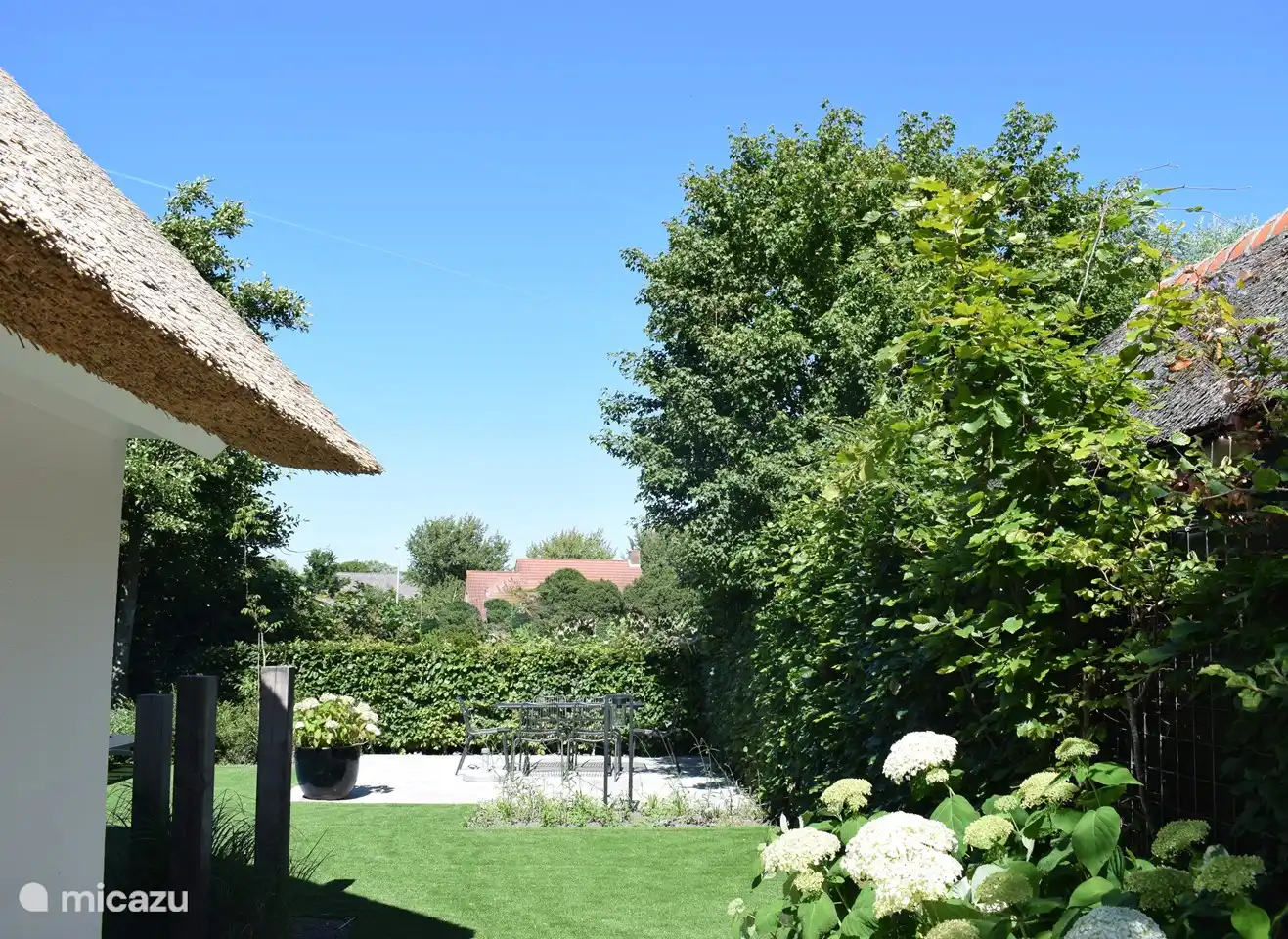 Sonnige Terrasse auf der Rückseite mit Blick auf die Wiese mit Pferden