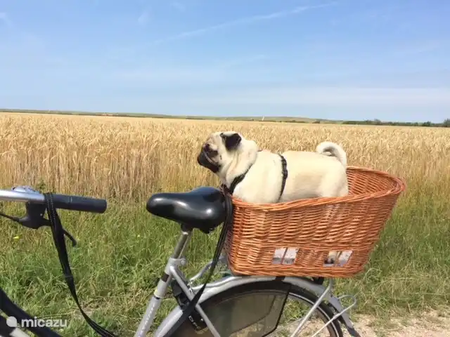 Radtour durch die Felder von Domburg nach Westkapelle