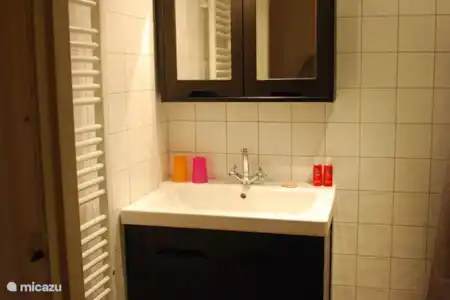 Vakantiehuis Nederland, Drenthe, Ruinerwold studio WW15 - De Koestal