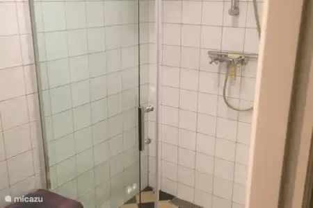 Vakantiehuis Nederland, Drenthe, Ruinerwold studio WW15 - De Koestal