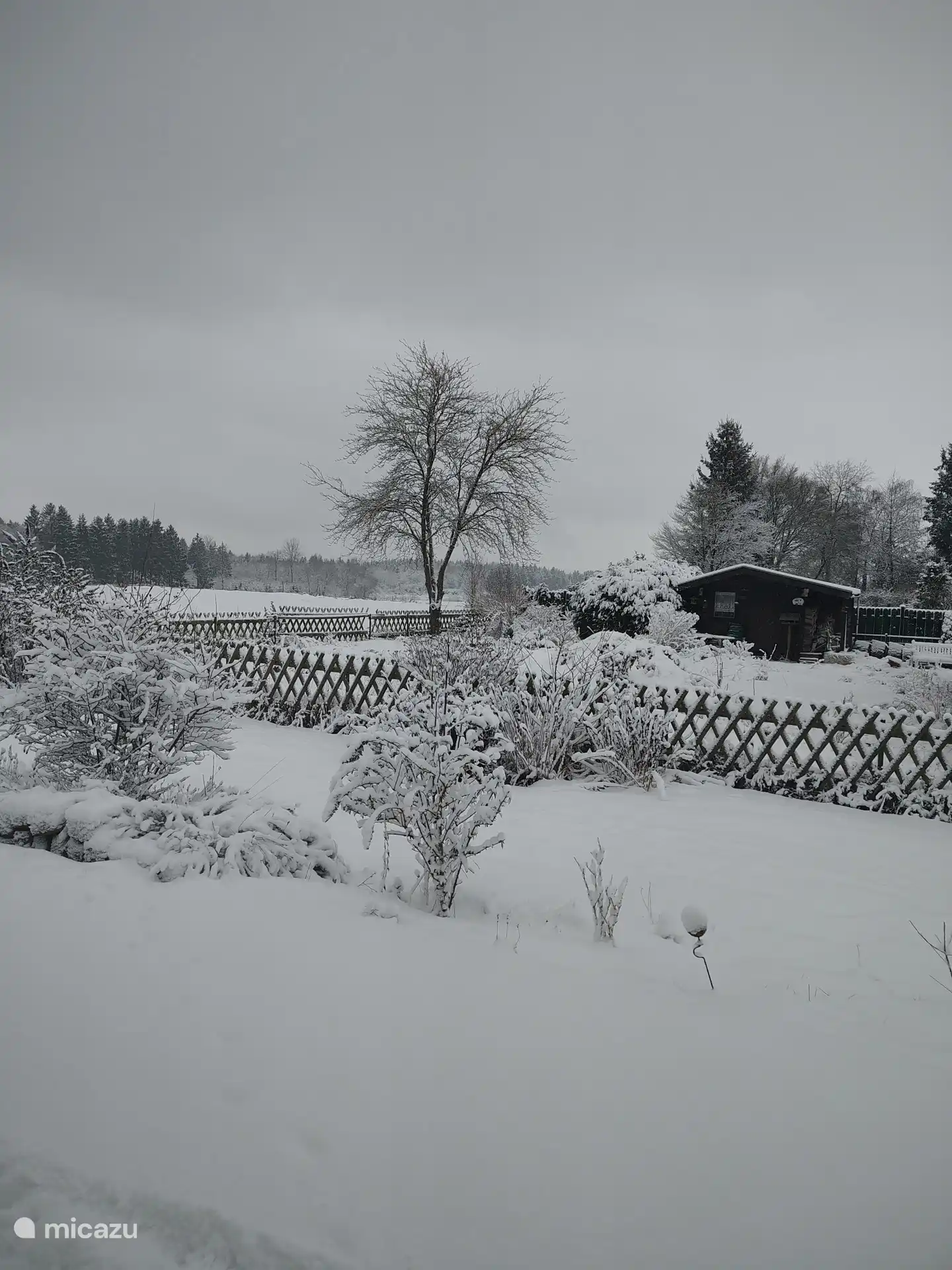 paisaje invernal desde la ventana de la habitación.
