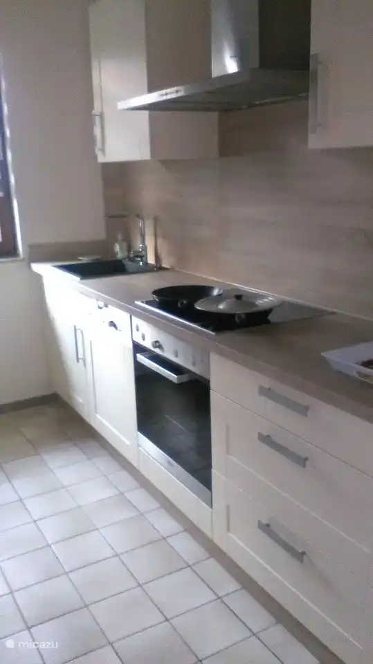 Komplette Küche mit Keramikkochfeld, Backofen und Geschirrspüler.