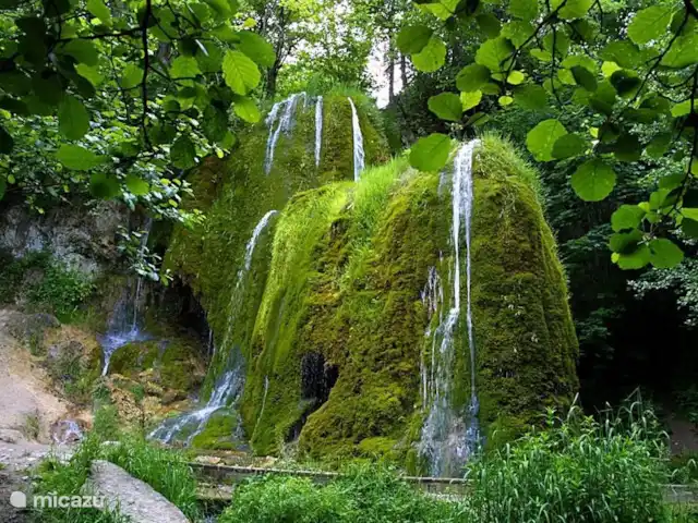 Location de Vacances Allemagne, Eifel, Wiesbaum, bungalow - 't Vosje Cascade Dreimühlen à Nohn