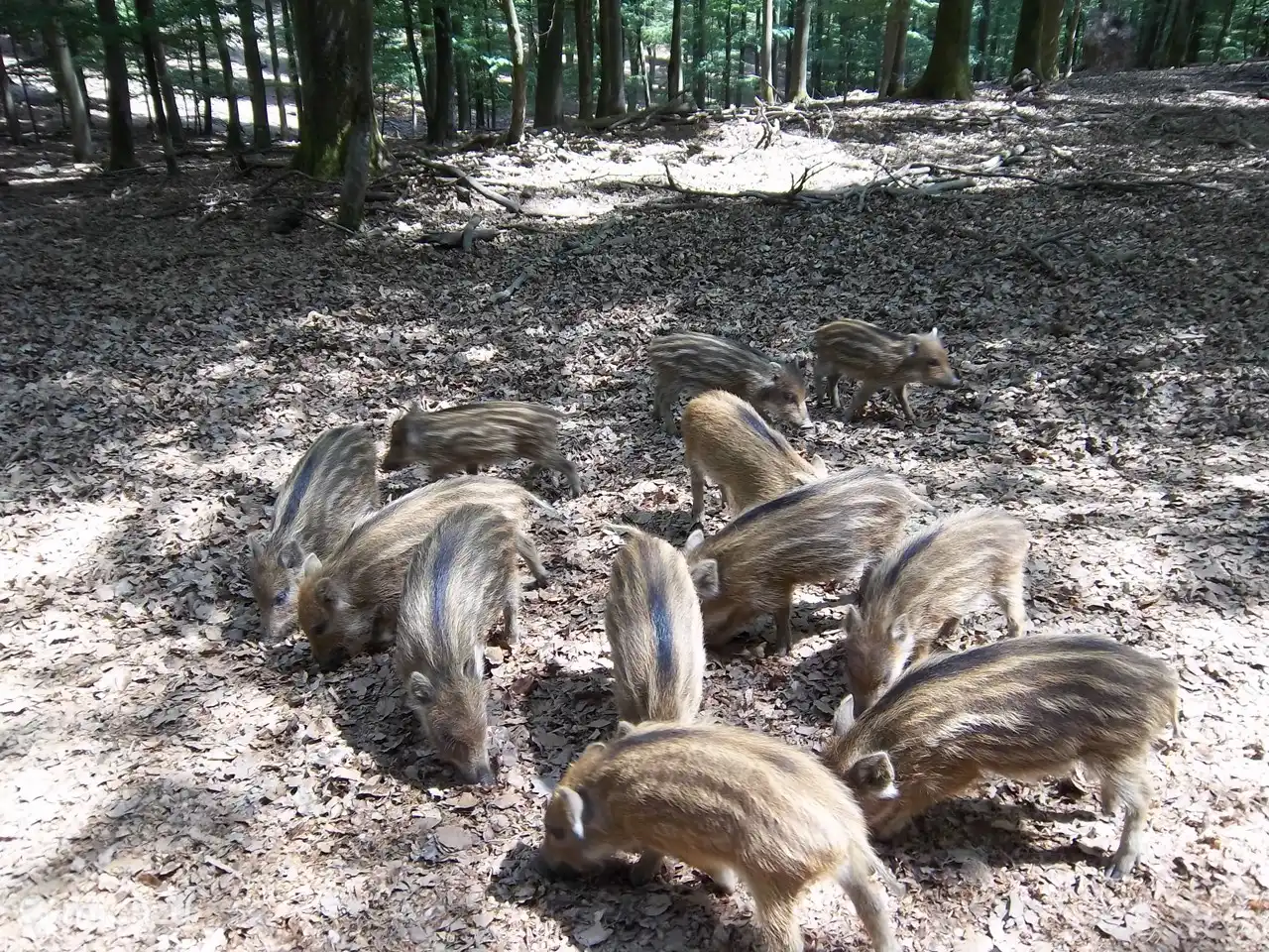 Blick von der Terrasse