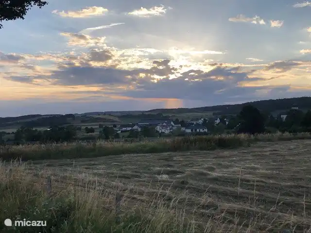 Blick auf den Wiesbaum im Abstieg. Links von der Straße führt ein Weg in den Wald.