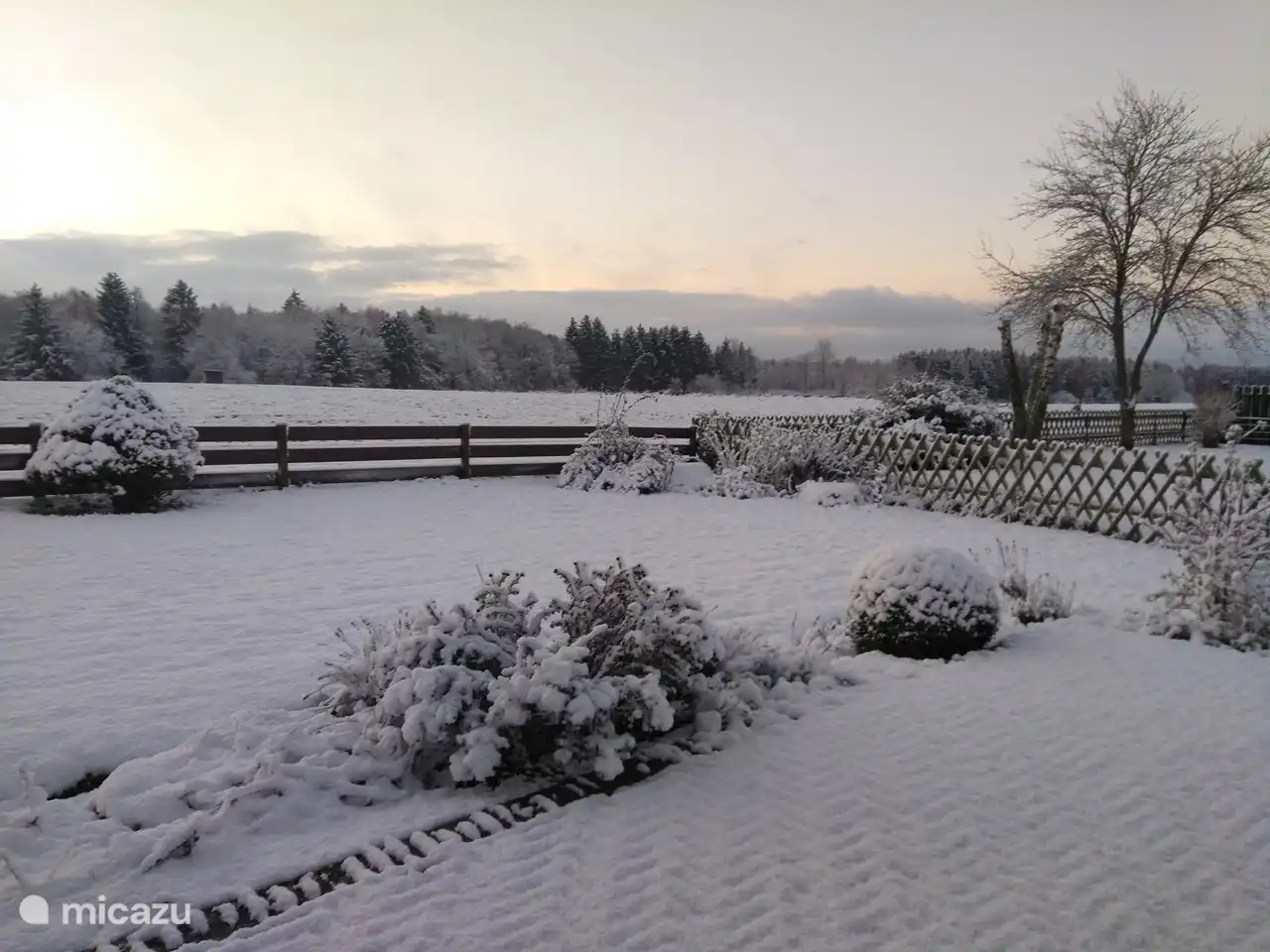 Blick im Winter vom Zimmer