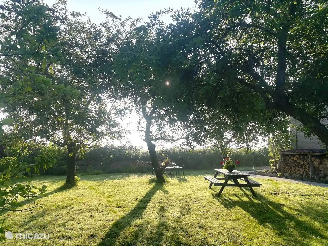 Der Obstgarten am Morgen (Wohnung gleich rechts)