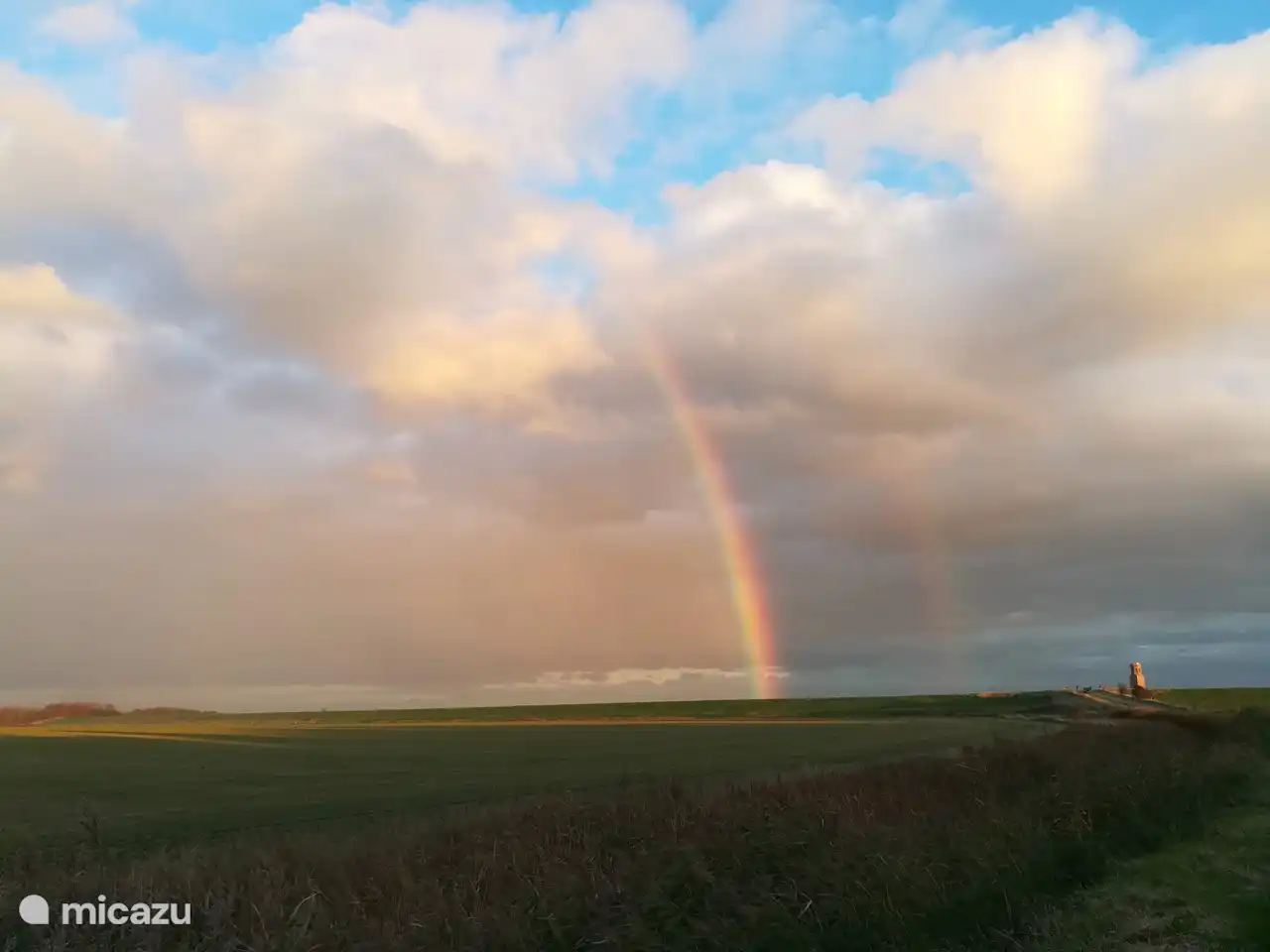 Blick auf die Auffahrt mit dem Plum Tower im Hintergrund