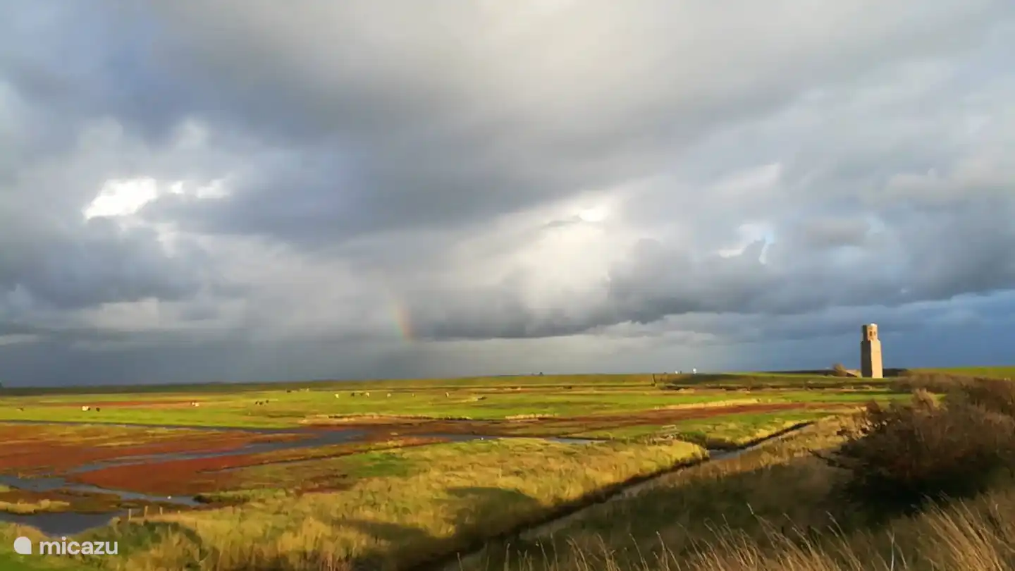Die Einsätze im Herbst, wenn der Queller rot wird (5 Gehminuten entfernt)