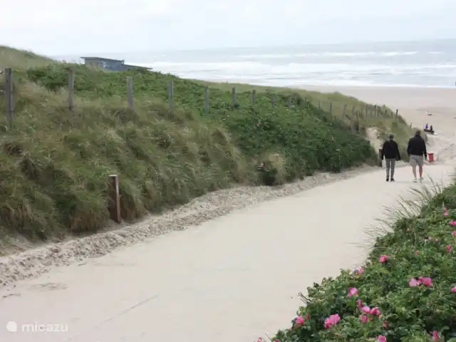 Appartement Plage Retour à la Côte | Pays-Bas, Hollande du Nord, Callantsoog - appartement Si vous faites attention où vous marchez, vous pouvez marcher pieds nus vers et depuis la plage. Vous êtes si près de la mer ! (225 mètres)