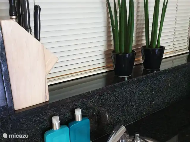 Appartement Plage Retour à la Côte | Pays-Bas, Hollande du Nord, Callantsoog - appartement De vraies plantes, de bons couteaux, du savon et de la crème pour les mains. C'est ici! Maintenant élargi avec du savon désinfectant pour les mains pour une hygiène supplémentaire.