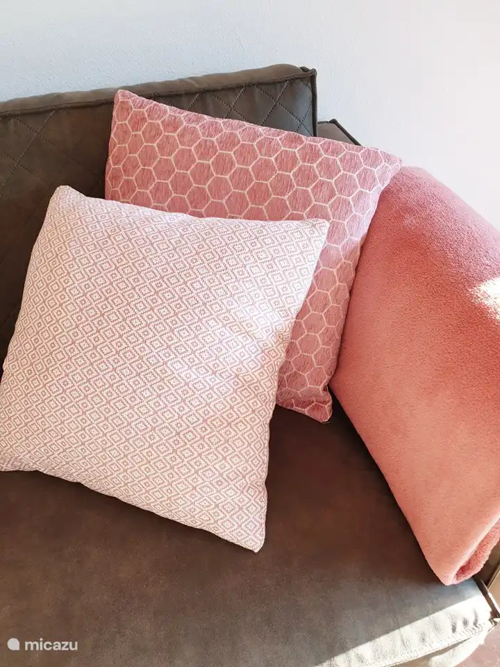 Fine cushions and a blanket on the sofa complete the new interior.