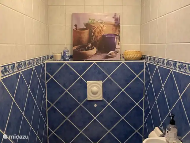 Appartement Plage Retour à la Côte | Pays-Bas, Hollande du Nord, Callantsoog - appartement Toilettes spacieuses avec toutes les fournitures et accessoires de toilette.