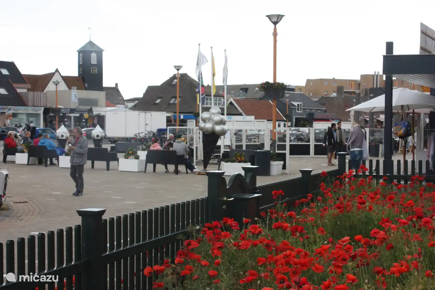 Poppies in bloom on the Dorpsplein.