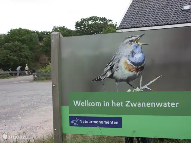 Appartement Plage Retour à la Côte | Pays-Bas, Hollande du Nord, Callantsoog - appartement Bienvenue dans le parc national Het Zwanenwater à distance de marche de l'appartement. Ne manquez vraiment pas!